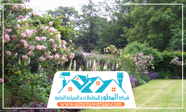 تركيب عشب صناعي في ام القيوين